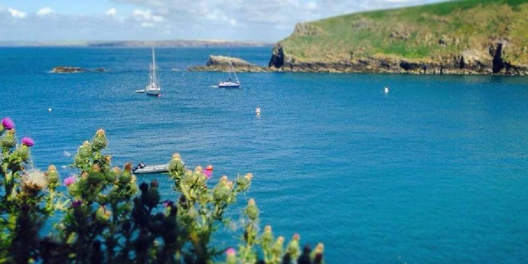 Şartları karşılayın burada huzurla yaşayın! Doğa tutkunları için biçilmiş kaftan: Gören bile hayran kalıyor! 1